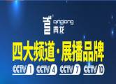 廣西青龍化學建材有限公司與我司簽訂網站設協議