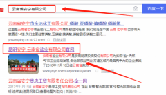 云南省*業有限公司網站建設參考網站