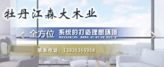 牡丹江市*大木業有限責任公司網站建設基本流程