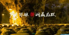 文山龍*酒業有限責任公司企業網站建設平面設計案例作品