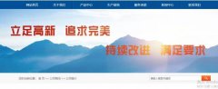 棗陽四*道普化工有限公司網站建設有創意的主題設計